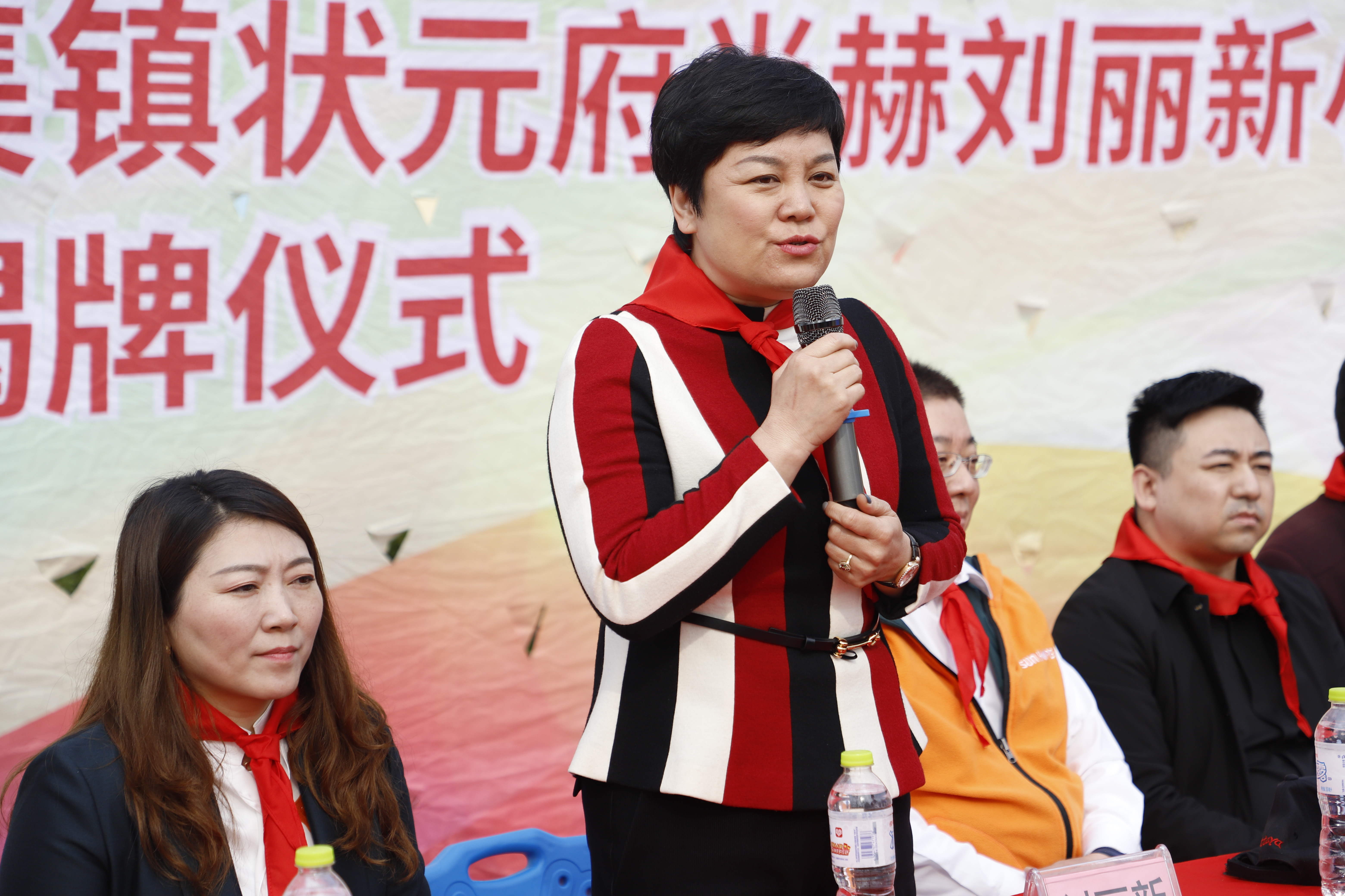 第209所 平度市崔家集镇状元府佳博官方网站刘丽新小学
