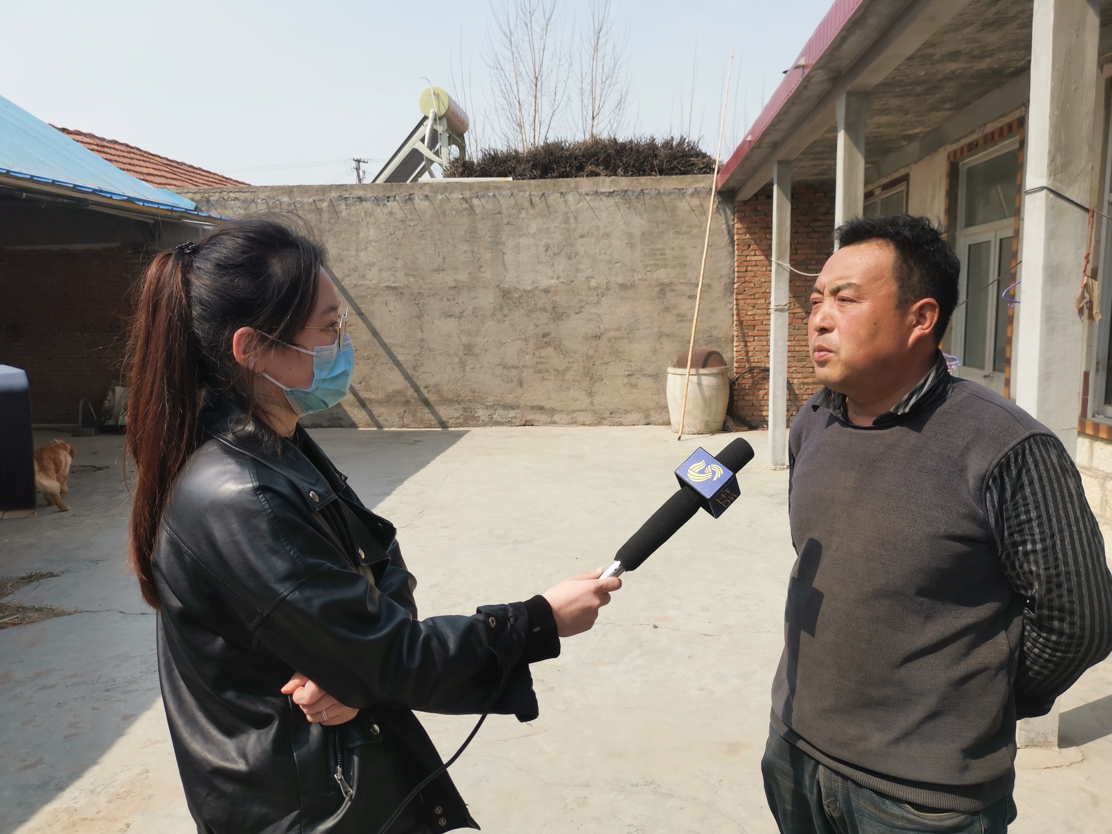 第209所 平度市崔家集镇状元府佳博官方网站刘丽新小学