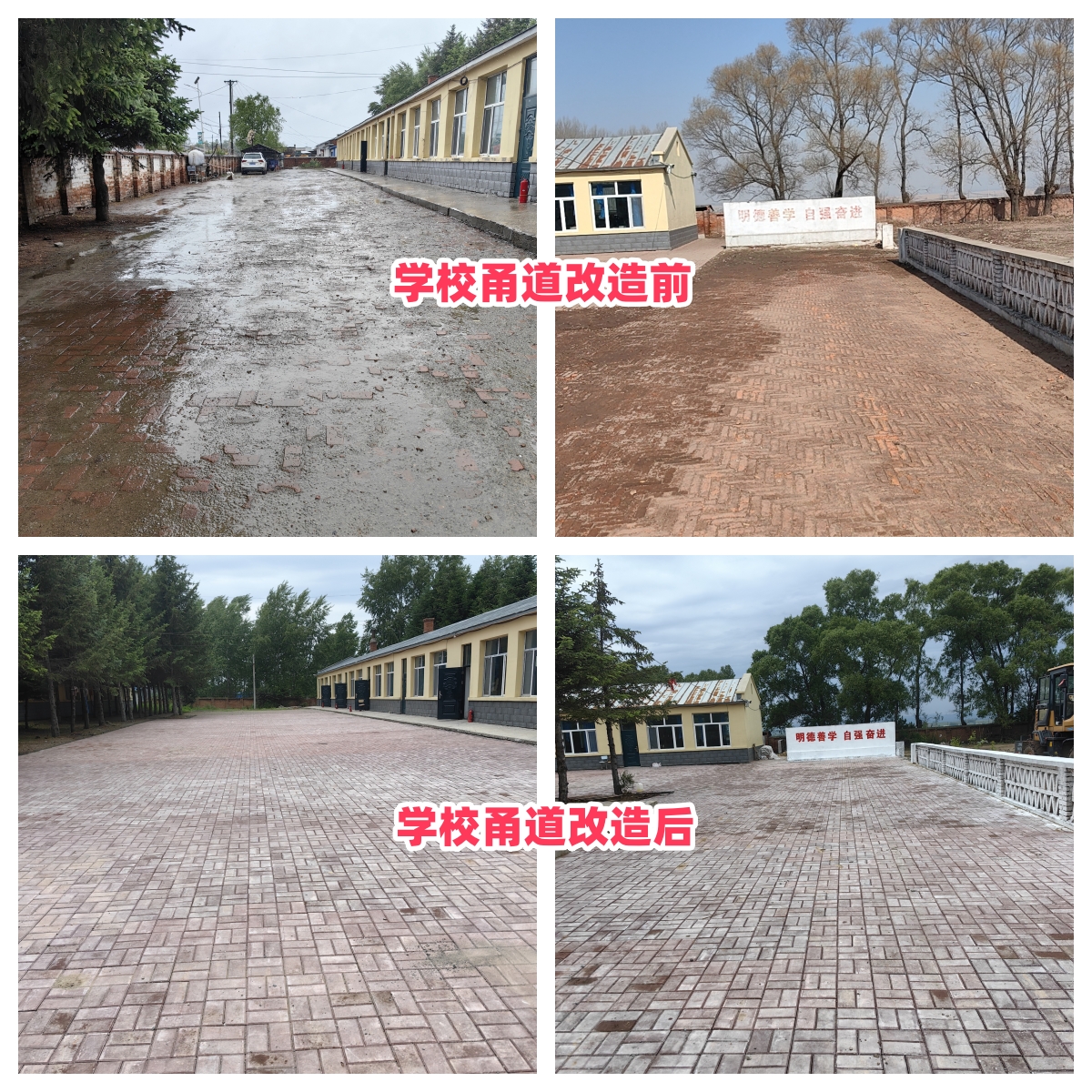 第254所 黑龙江巴彦县黑山镇民乐村佳博官方网站侯玉霞学校