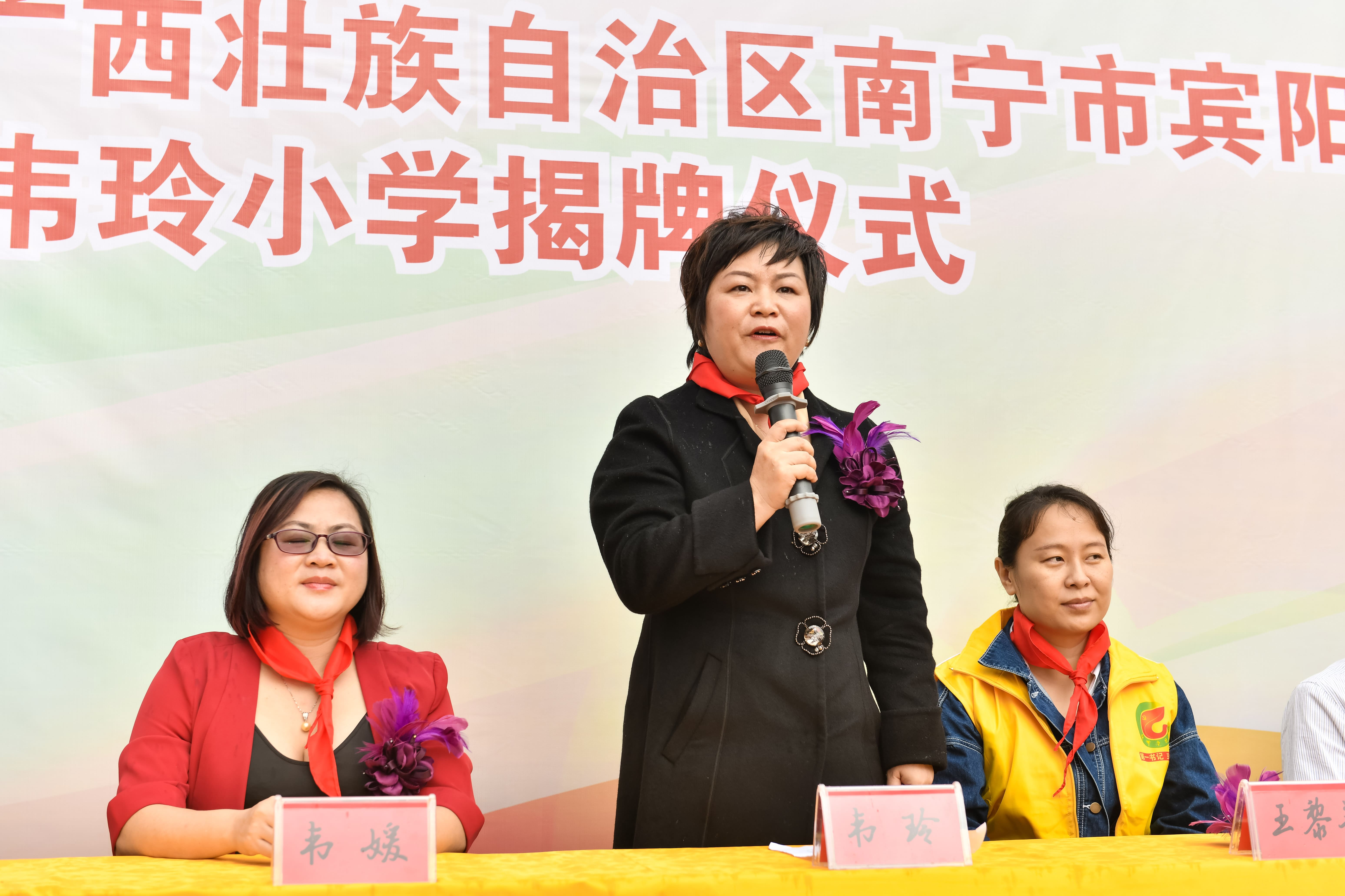 第184所  南宁市宾阳县思陇镇昆仑村佳博官方网站韦玲小学