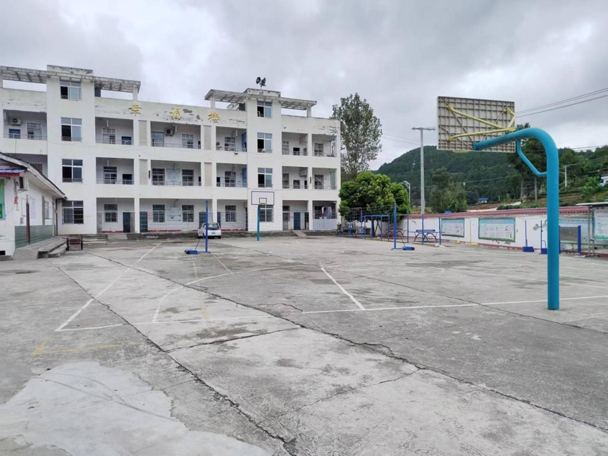 第239所 四川省绵阳市盐亭县永泰镇佳博官方网站任凤小学