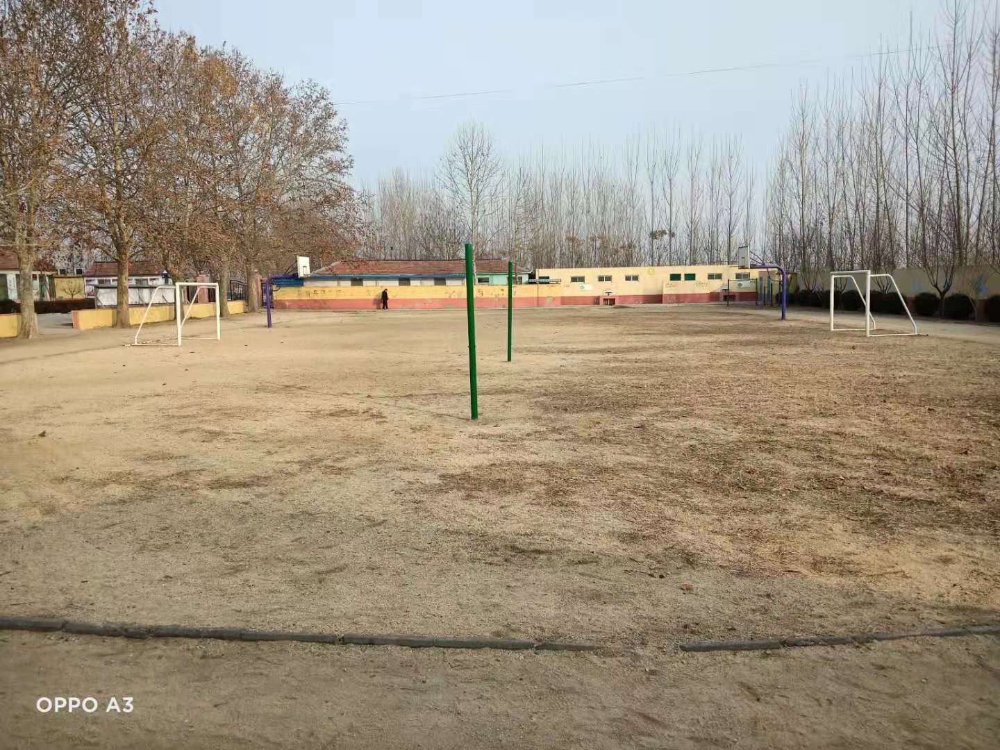 第209所 平度市崔家集镇状元府佳博官方网站刘丽新小学