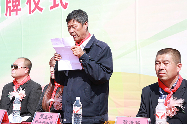 第65所 开原市上肥镇佳博官方网站佟玲小学