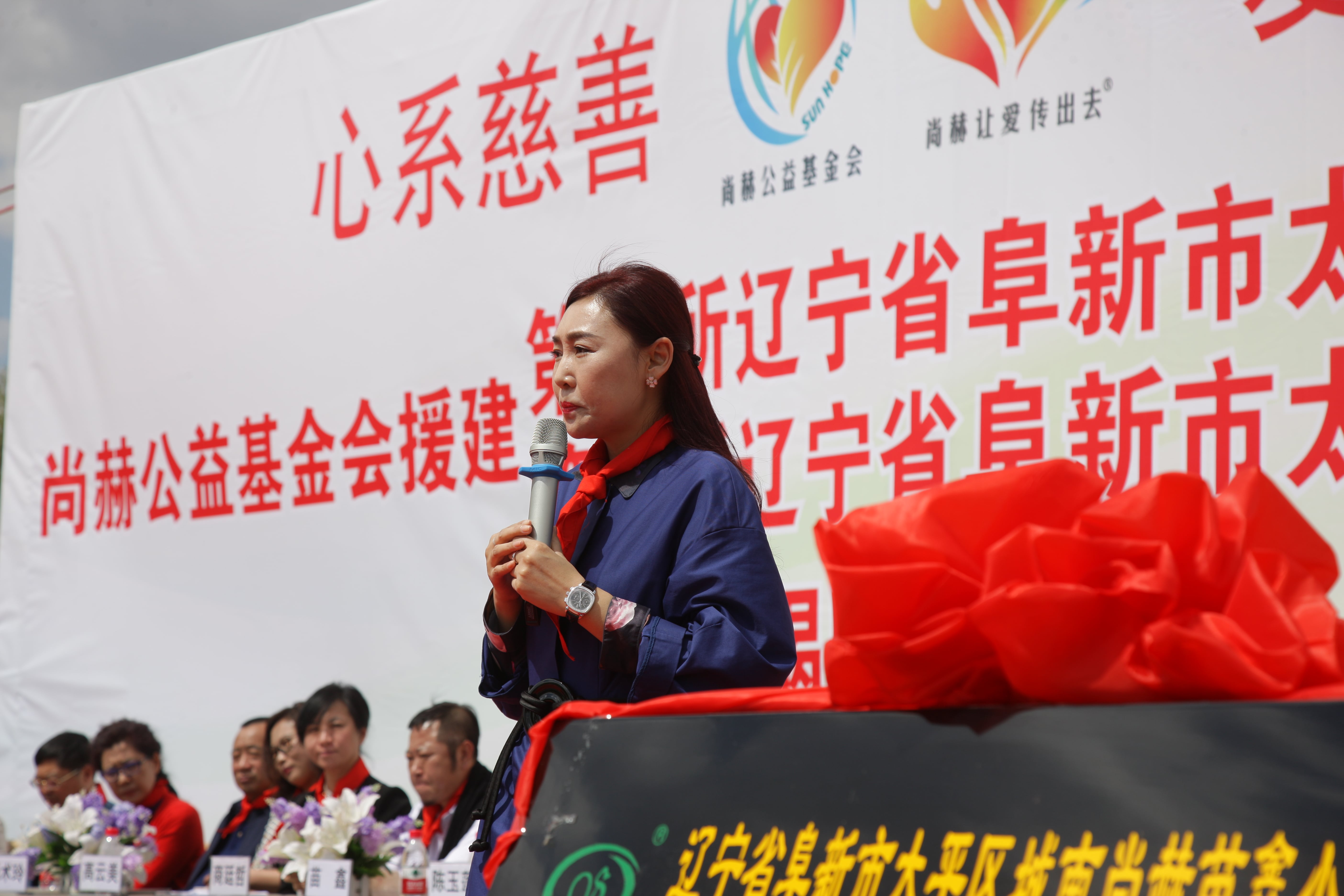 第87所 阜新市太平区城南佳博官方网站苗鑫小学