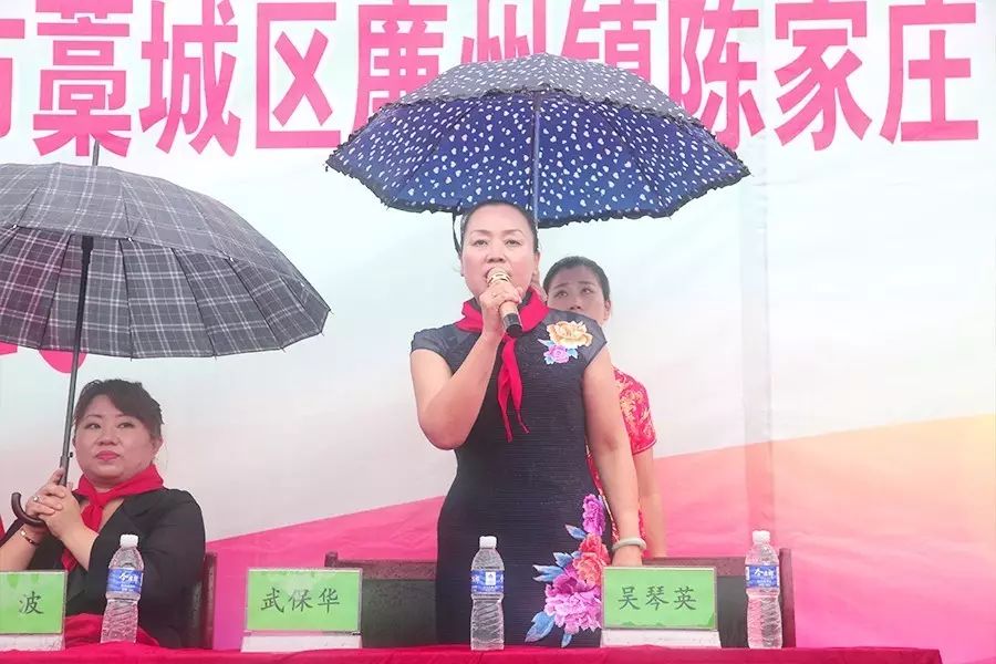 第112所 石家庄市藁城区廉州镇陈家庄佳博官方网站颜妮小学