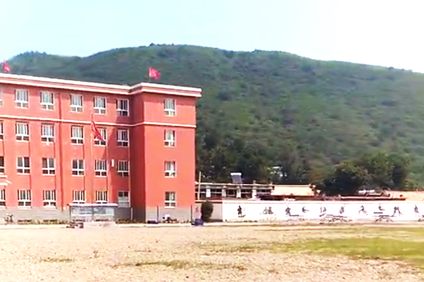 第113所 朝阳市凌源市大王杖子佳博官方网站梁红小学