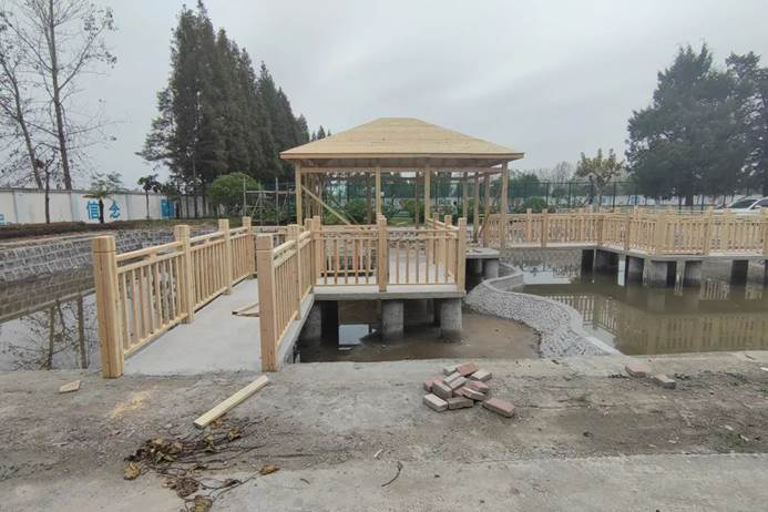 第217所 安徽省淮南市田家庵区曹庵佳博官方网站孟凡梅小学